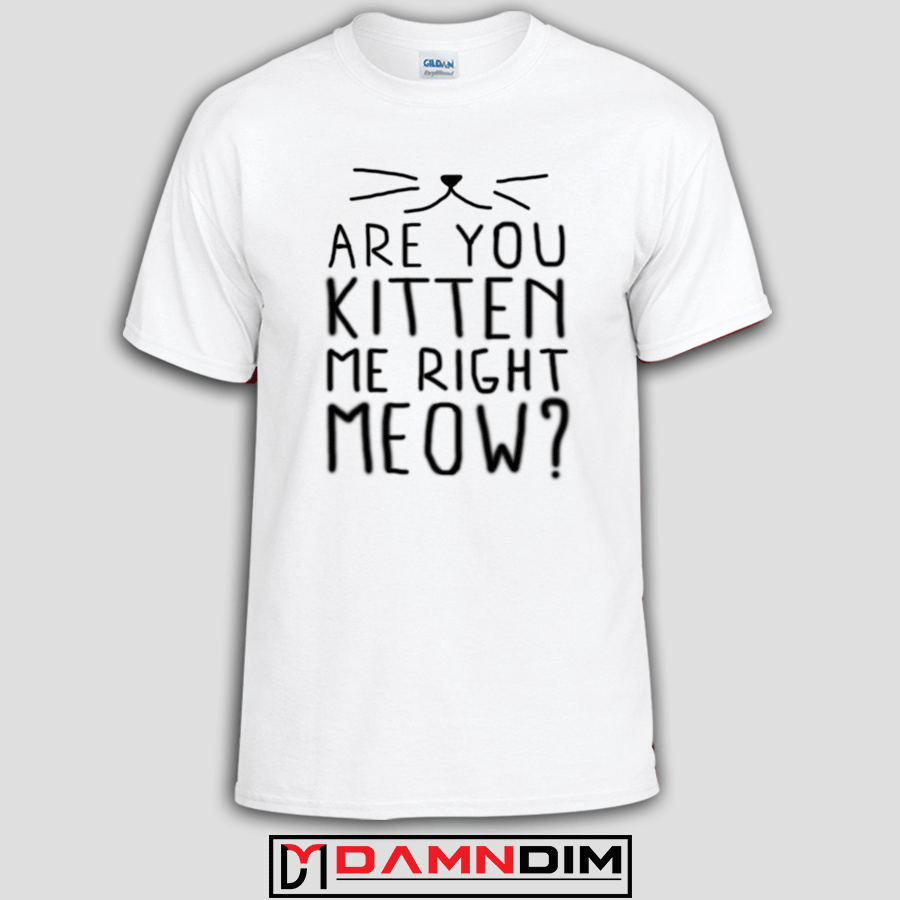 I right. Are you Kitten me. Футболка Meow that's you. Are you Kitten me right Meow перевод. The Kitten Club футболка.